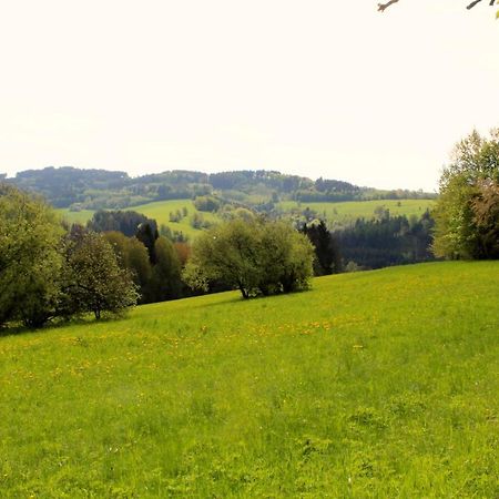 Ve Stodole Villa Zlata Olesnice  Buitenkant foto