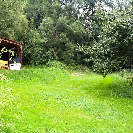 Ve Stodole Villa Zlata Olesnice  Buitenkant foto
