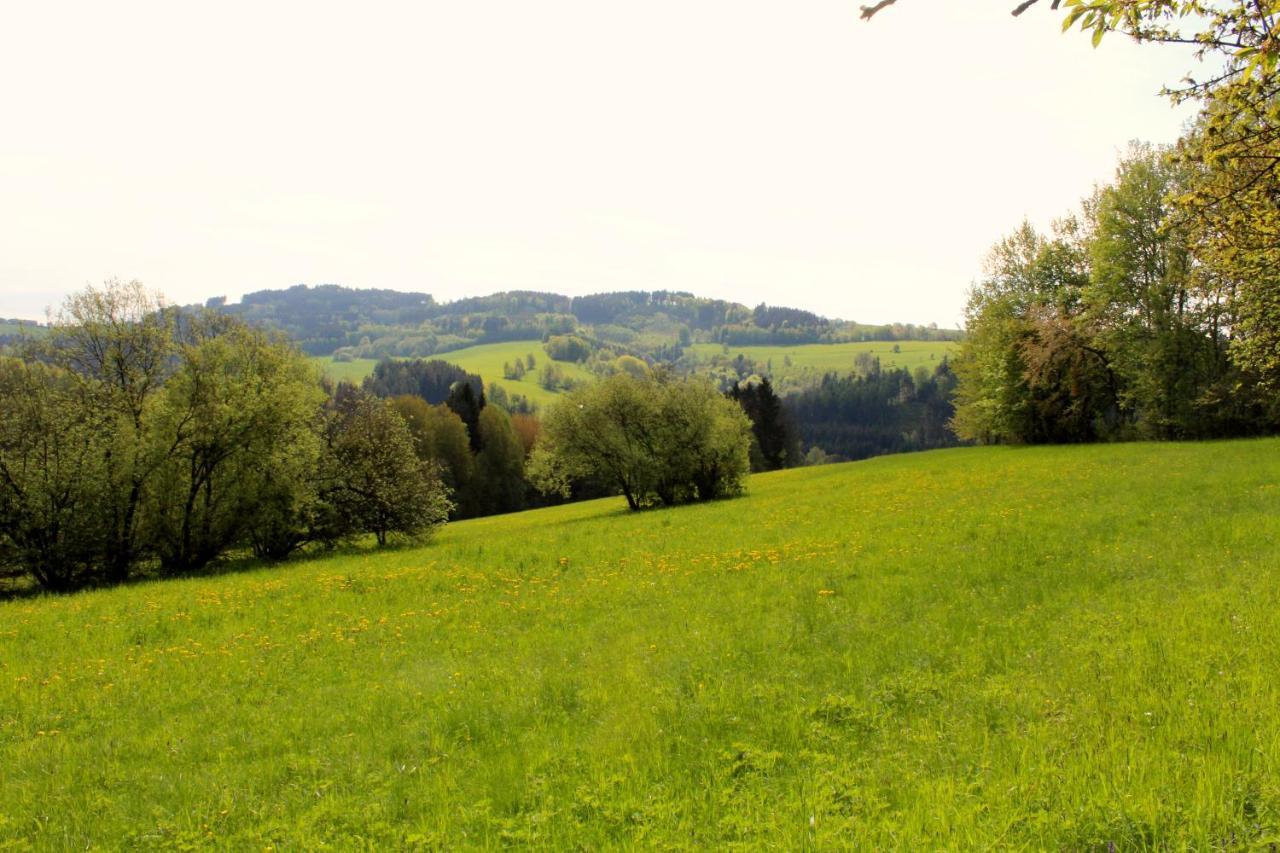Ve Stodole Villa Zlata Olesnice  Buitenkant foto