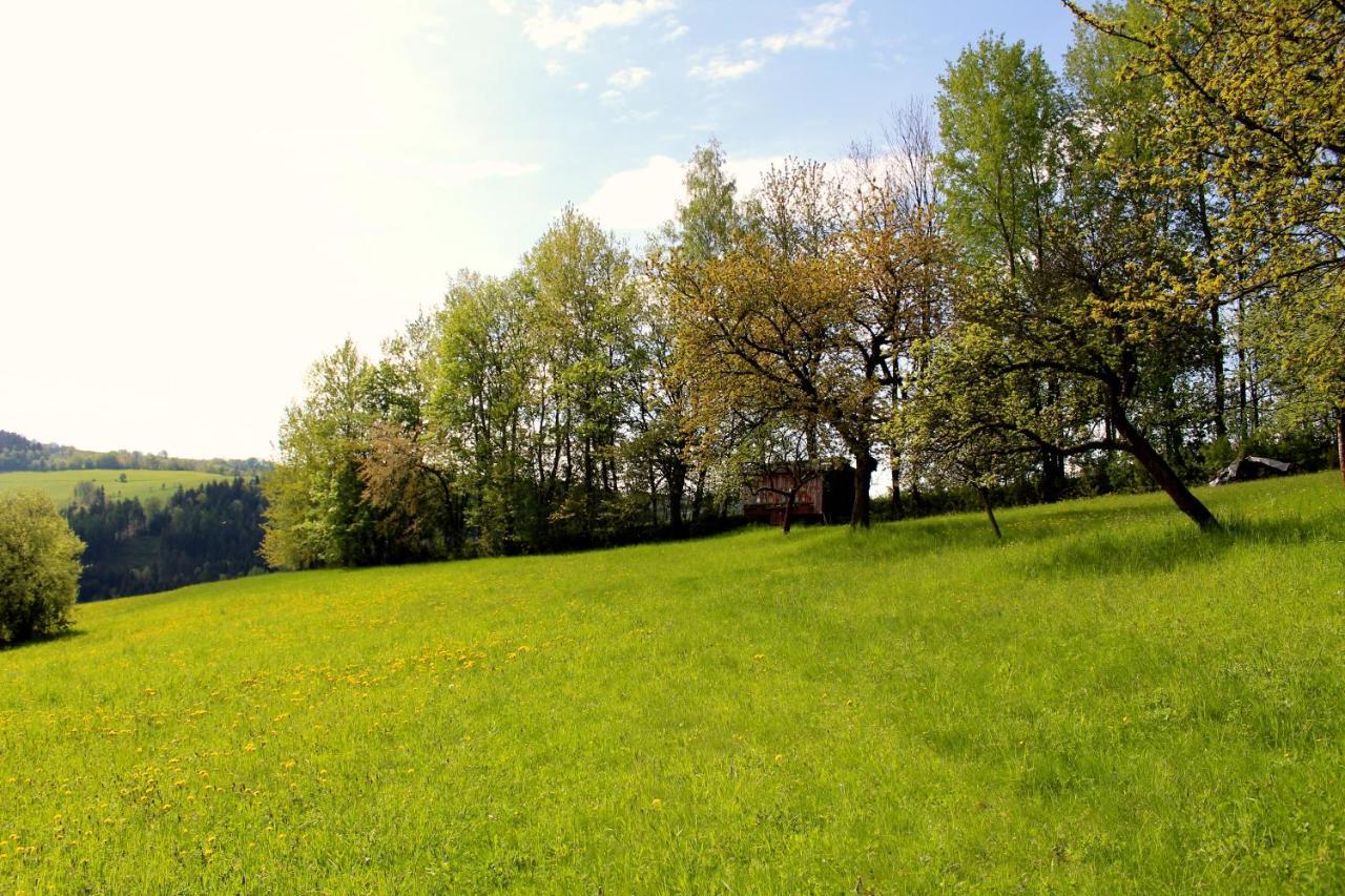 Ve Stodole Villa Zlata Olesnice  Buitenkant foto