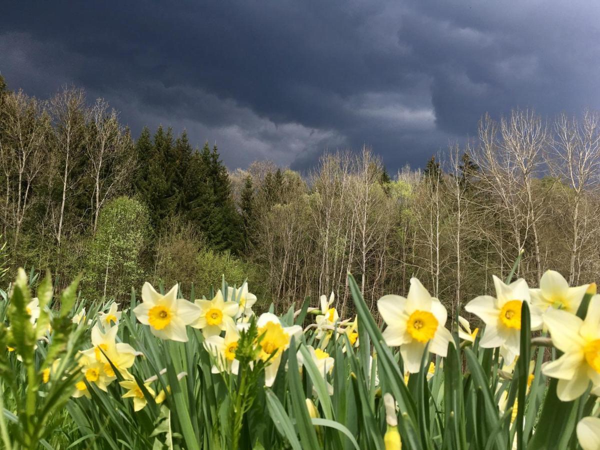 Ve Stodole Villa Zlata Olesnice  Buitenkant foto